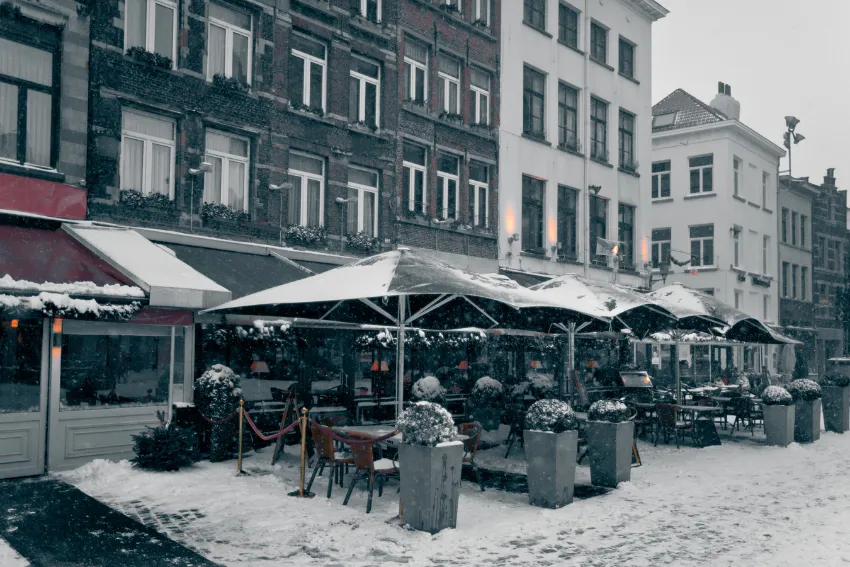 Top 4 Tips to Manage Kitchen Waste in Winters | Grand Natural